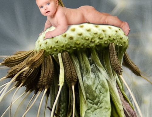 Mommy’s Darling Studio Photography 8