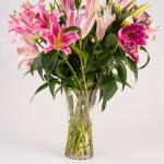 Pretoria Studio Product Photography by JC Crafford.biz