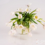 Pretoria Studio Product Photography by JC Crafford.biz