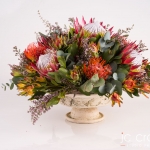 Pretoria Studio Product Photography by JC Crafford.biz