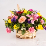 Pretoria Studio Product Photography by JC Crafford.biz