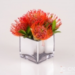 Pretoria Studio Product Photography by JC Crafford.biz