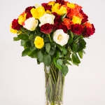 Pretoria Studio Product Photography by JC Crafford.biz