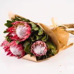 Pretoria Studio Product Photography by JC Crafford.biz