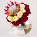 Pretoria Studio Product Photography by JC Crafford.biz