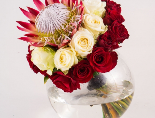 KBC Flowers Product Photography