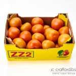 vegetable product studio shoot in Pretoria